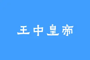 王中皇帝