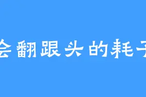 会翻跟头的耗子