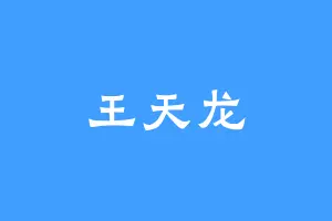 王天龙