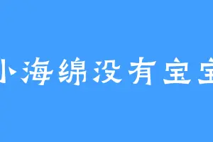 小海绵没有宝宝