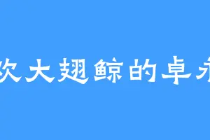 喜欢大翅鲸的卓永昌