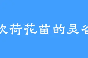 喜欢荷花苗的灵谷子