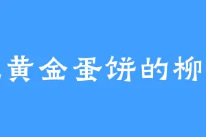 爱吃黄金蛋饼的柳清风