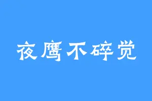 夜鹰不碎觉