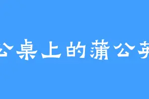 办公桌上的蒲公英茶