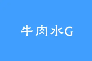 牛肉水G