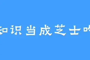 把知识当成芝士吃掉