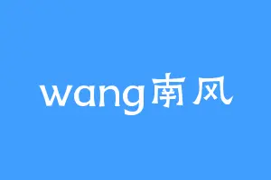 wang南风