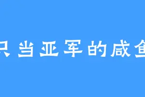 只当亚军的咸鱼