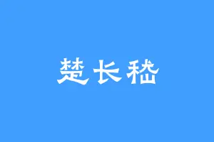 楚长嵇