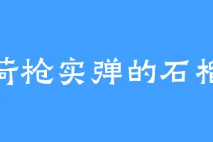 荷枪实弹的石榴