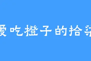爱吃橙子的拾柒