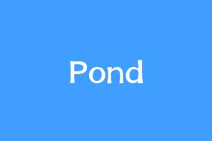 Pond