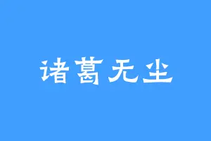 诸葛无尘
