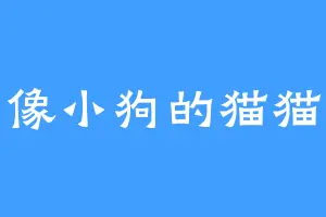 像小狗的猫猫