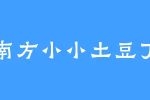 南方小小土豆丁
