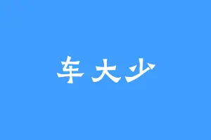 车大少