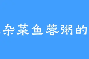 爱吃杂菜鱼蓉粥的文岳