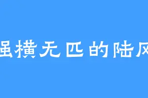 强横无匹的陆风
