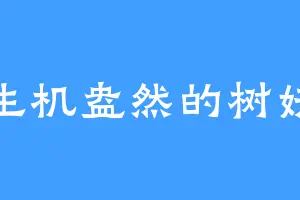 生机盎然的树妖