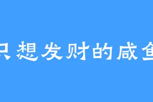 只想发财的咸鱼