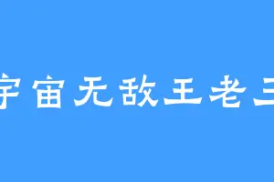 宇宙无敌王老三