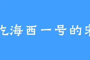 爱吃海西一号的宋柏