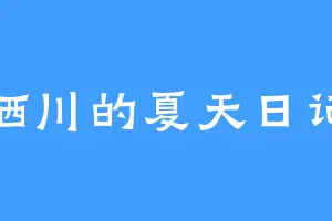 栖川的夏天日记