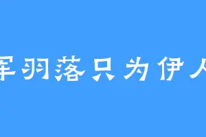 千军羽落只为伊人颜