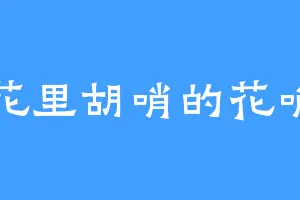 花里胡哨的花哨
