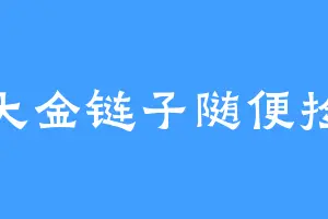 大金链子随便捡