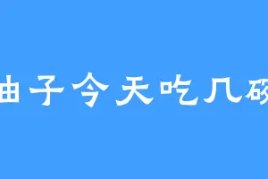 柚子今天吃几碗