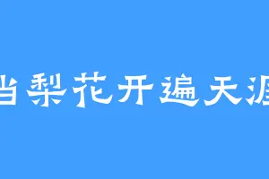 当梨花开遍天涯