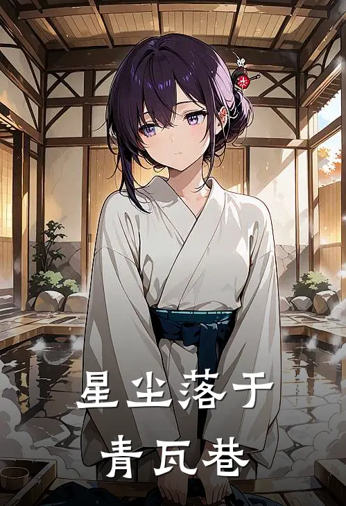 星尘落于青瓦巷