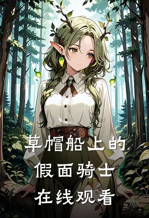 草帽船上的假面骑士在线观看