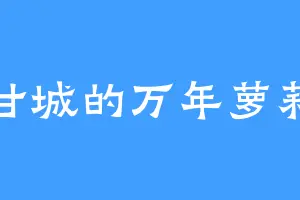 甘城的万年萝莉