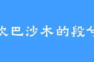 喜欢巴沙木的段兮兮