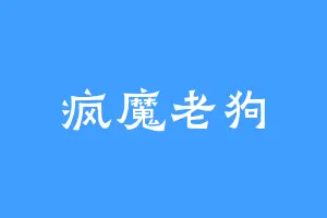 疯魔老狗
