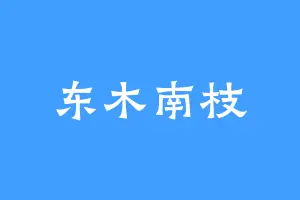 东木南枝