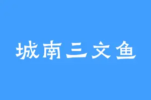 城南三文鱼