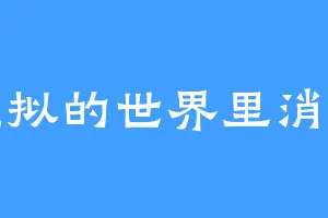 虚拟的世界里消失