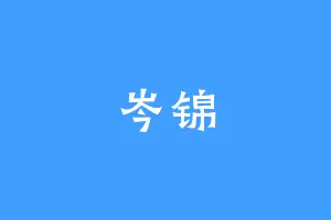 岑锦