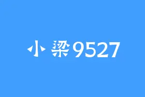小梁9527