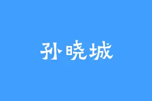孙晓城
