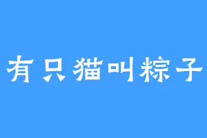 有只猫叫粽子