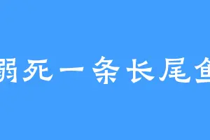 溺死一条长尾鱼