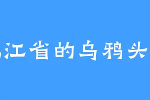 北江省的乌鸦头头