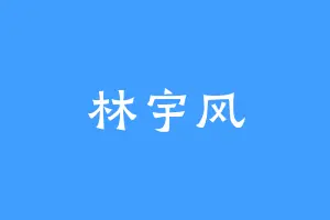 林宇风