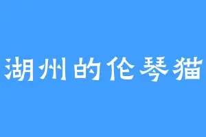 湖州的伦琴猫